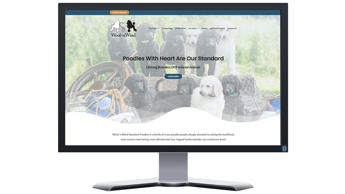 Wool ‘n Wind Standard Poodles Wool ‘n Wind Standard Poodles