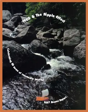 TEEG 2007 Annual Report