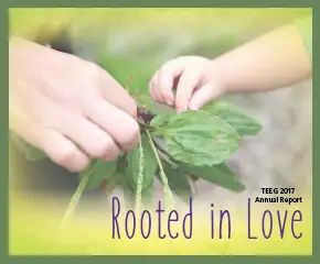 The TEEG 2017 Annual Report