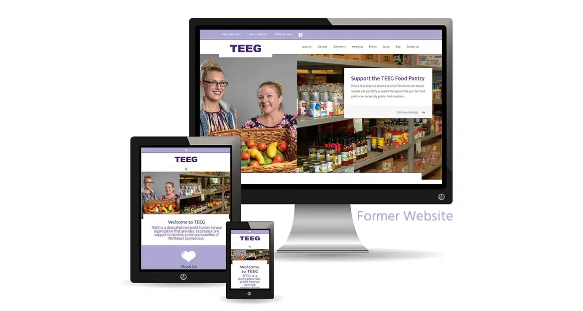 Former TEEG Website